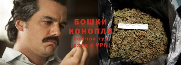 индика Лихославль