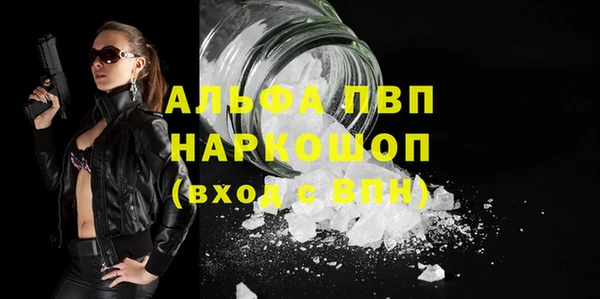 индика Лихославль