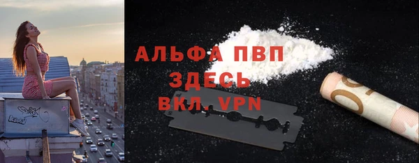 PSILOCYBIN Лагань