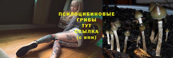 соль ск Магас