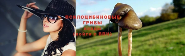 индика Лихославль