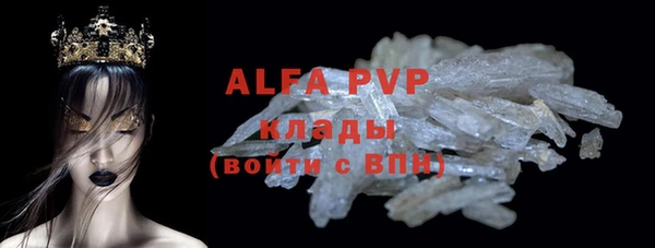 индика Лихославль