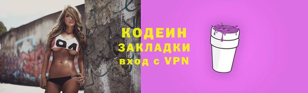 индика Лихославль