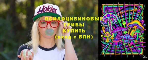 шишки Ладушкин