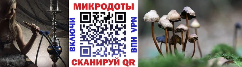 Купить закладки  Апрелевка  Галлюциногенные грибы мицелий 
